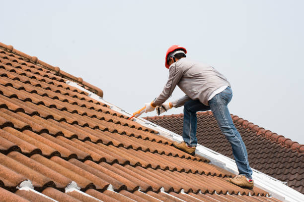 Best Roof Coating Services  in El Verano, CA
